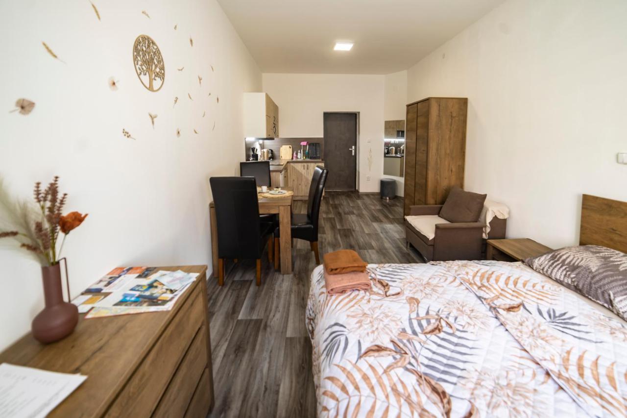Apartmany Nezarka A Privatni Wellness Йндрихув Храдец Екстериор снимка