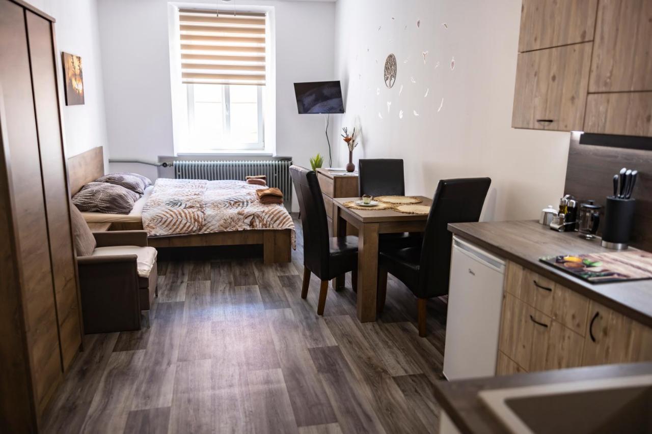 Apartmany Nezarka A Privatni Wellness Йндрихув Храдец Екстериор снимка